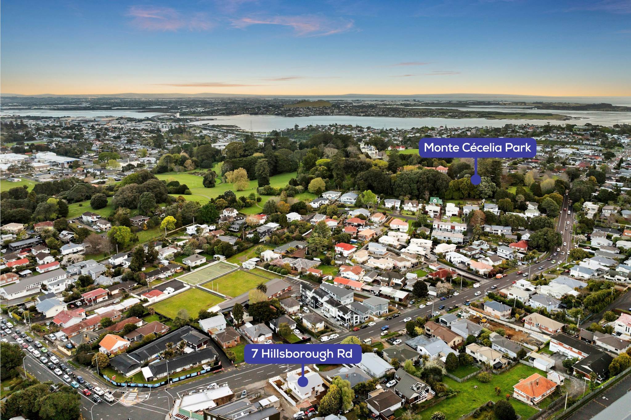 7 Hillsborough Road, Mount Roskill, photo 14