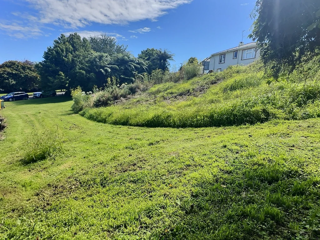 Vogeltown Centrally Located Section | EO $155,000