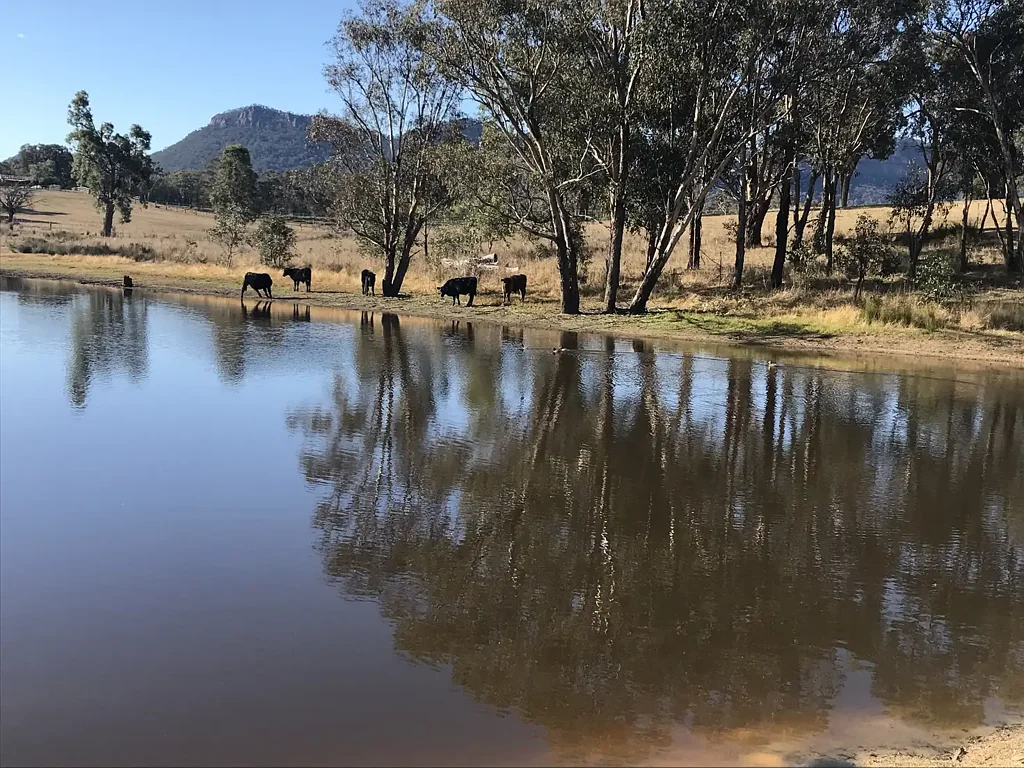 Rylstone Motivated Vendors