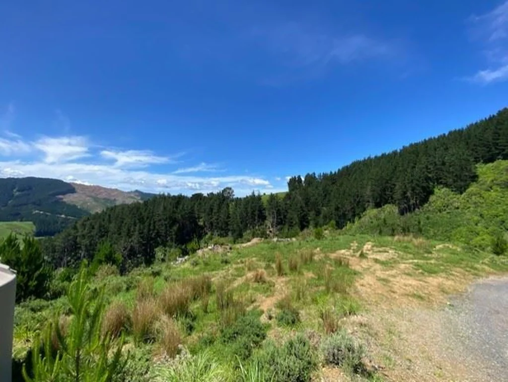 Pauatahanui Easterly aspect, elevated, good sun and shelter.