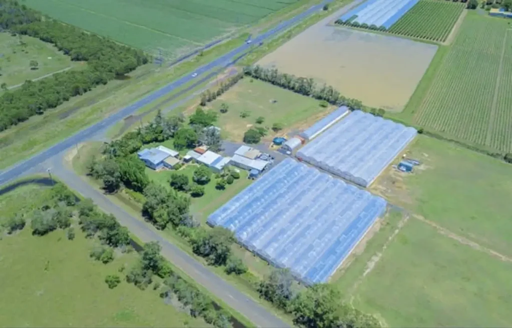 Alloway 3غرفة نوم Bundaberg Irrigated Horticulture Farm | 10 Acres | Greenhouses, 11ML Bore Water & Renovated Home