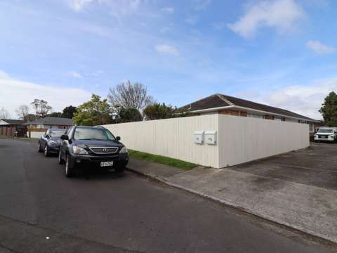 2 bedrooms fully renovated, clean and garage