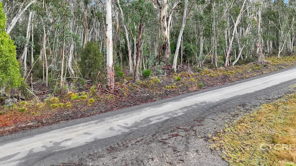 Bendoc Escape to East Gippsland