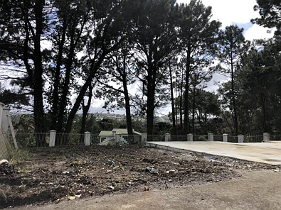 Chatswood 1,011sqm of Pure Potential in Chatswood