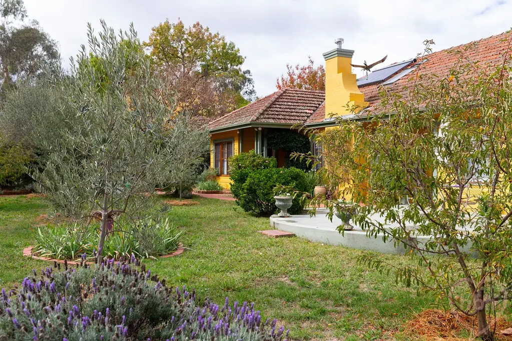 7 Corroboree Park, Ainslie, ACT 2602