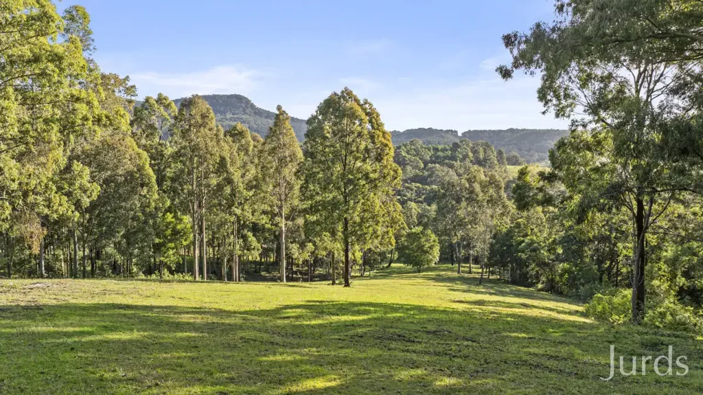 Mount Vincent Build Your Dream Country Escape – 25 Acres with Stunning Mountain Views