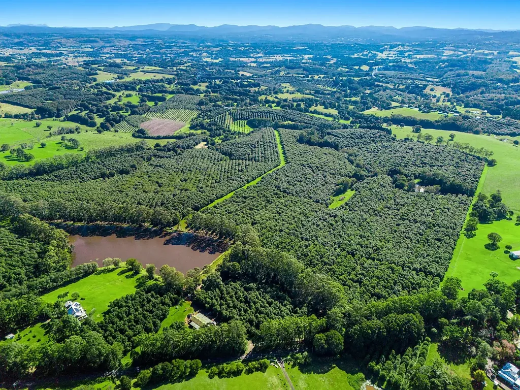 Wollongbar  Prime Plateau Property - Potential Plus