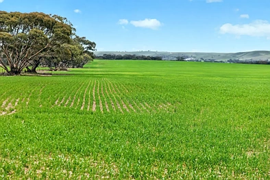 'Milde's' Keller Road, Point Pass, SA 5374, 0 slaapkamers, 0 badkamers, Lifestyle Property