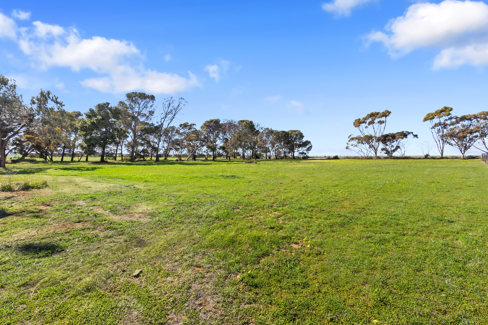 655 SCOTT RD, NANTAWARRA SA 5550, 0 Bedrooms, 0 Bathrooms, House