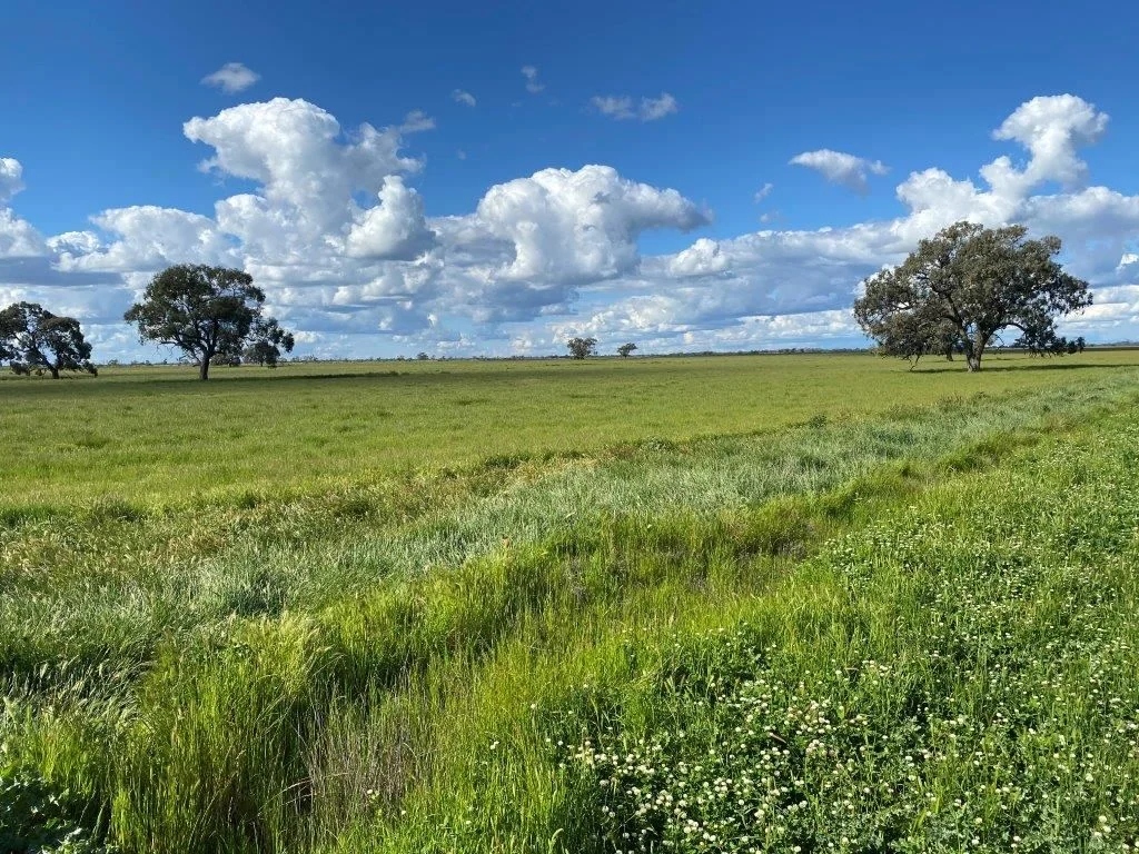 00 Peacock Road, Kerang, VIC 3579