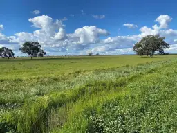 00 Peacock Road, Kerang