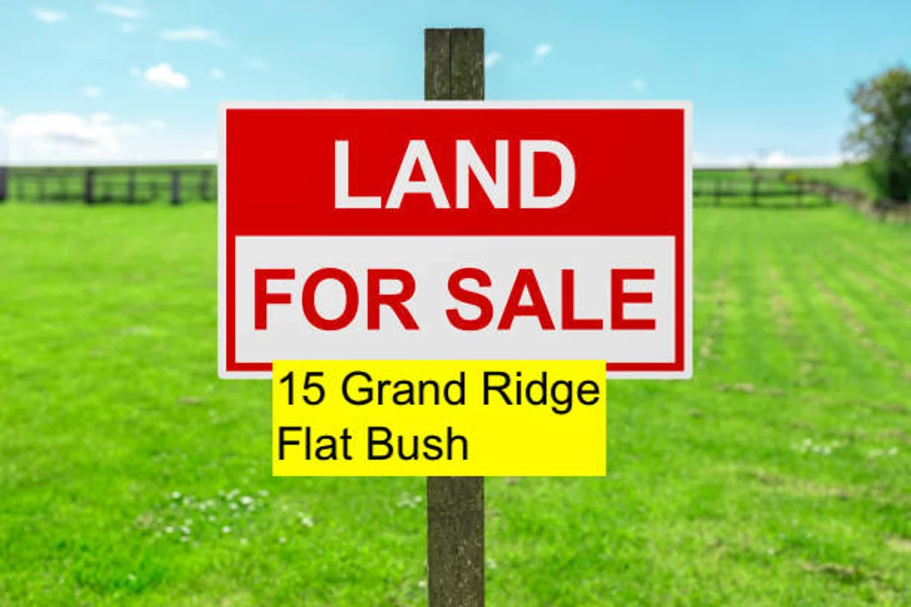 Flat Bush BLANK CANVAS - 2646m2 LIFESTYLE VIEWS