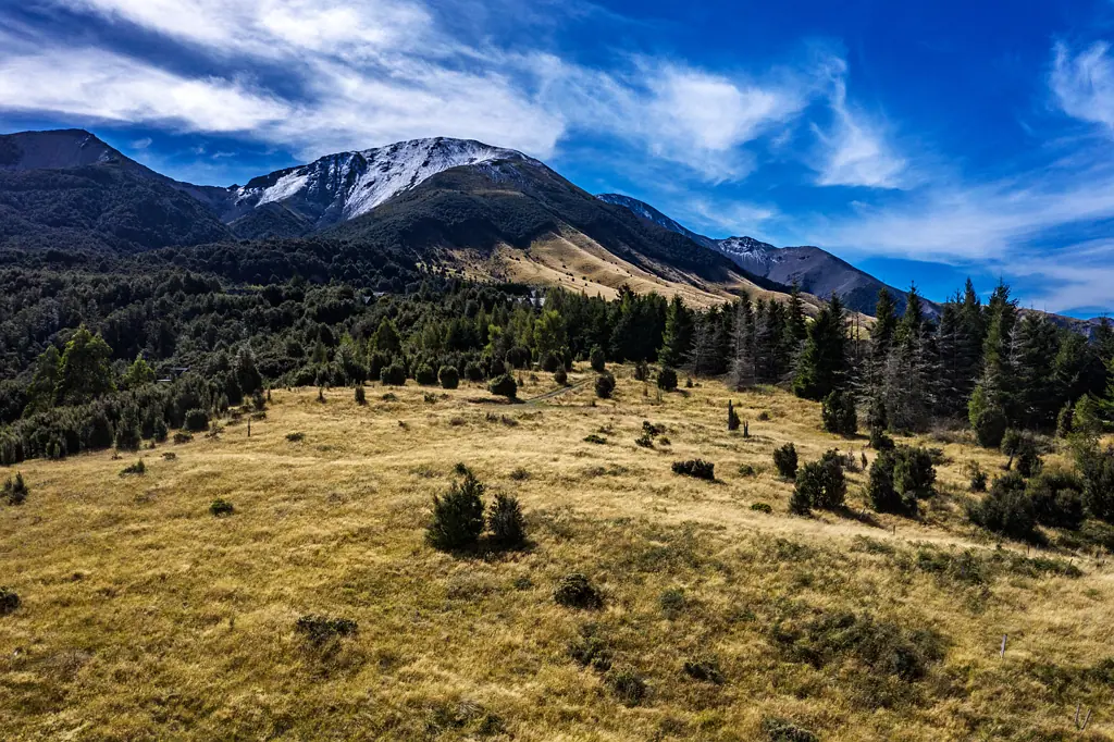 Lyford  Enchanting Slice of New Zealand!
