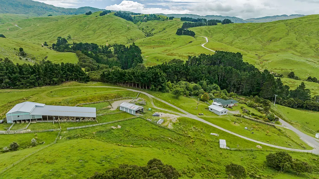 Pongaroa Ruawai - 352 ha