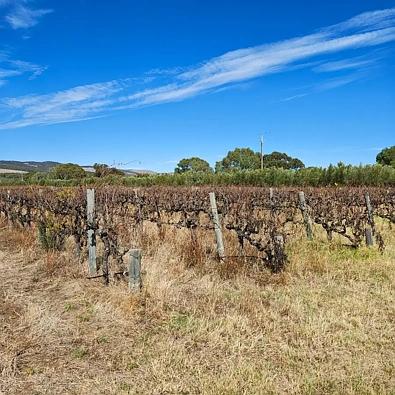 124 HAHN RD, SELLICKS HILL SA 5174, 0 Kuwarto, 0 Banyo, Section