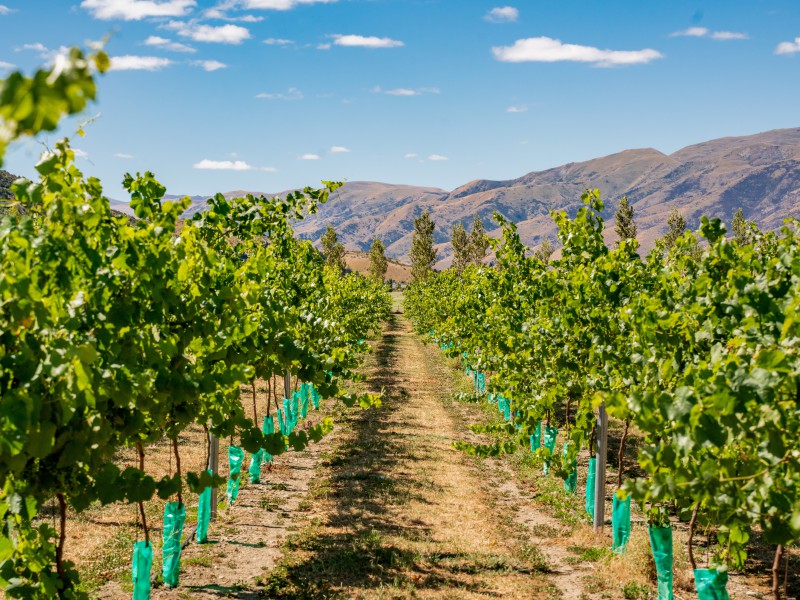 42 Gladsmuir Road, Queensberry, Otago, 4房, 0浴