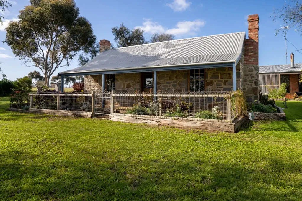 Lethbridge Horses - Lifestyle - Investment
