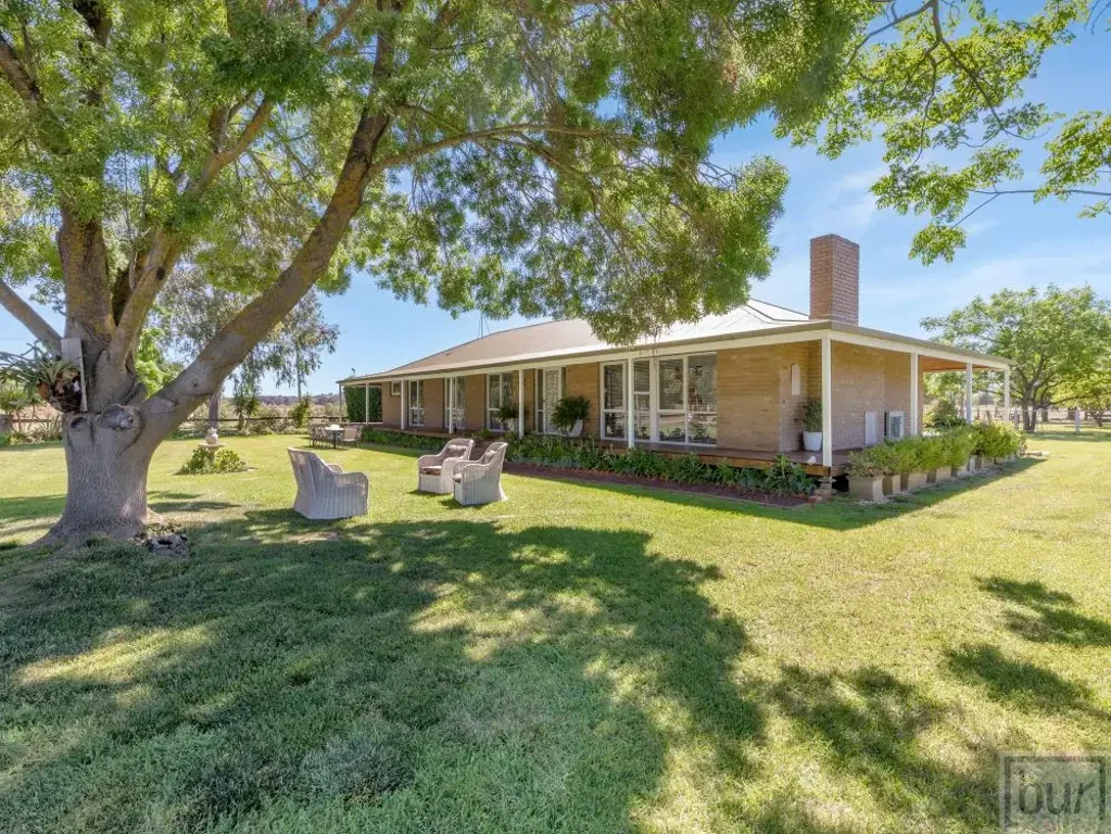 Howlong “De Mammiel Grove”