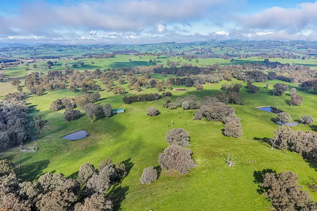 Merton  'Park Lane' - 411 Acres of Productive Grazing Country | Merton | 2hrs Melbourne