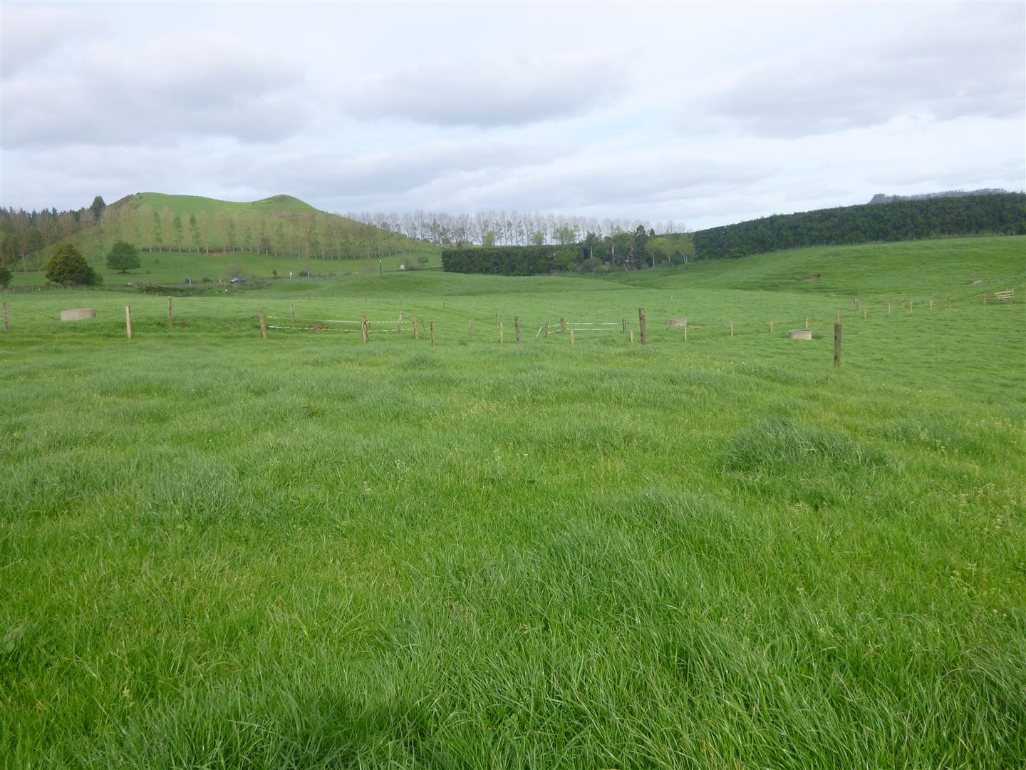 Old Tauranga Road, Waihi, Hauraki, 0 침실, 1 욕실