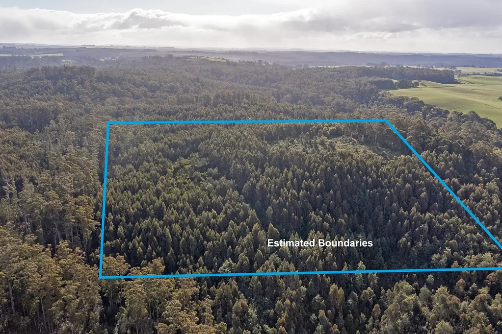 Upper Natone Beautiful Bush Block