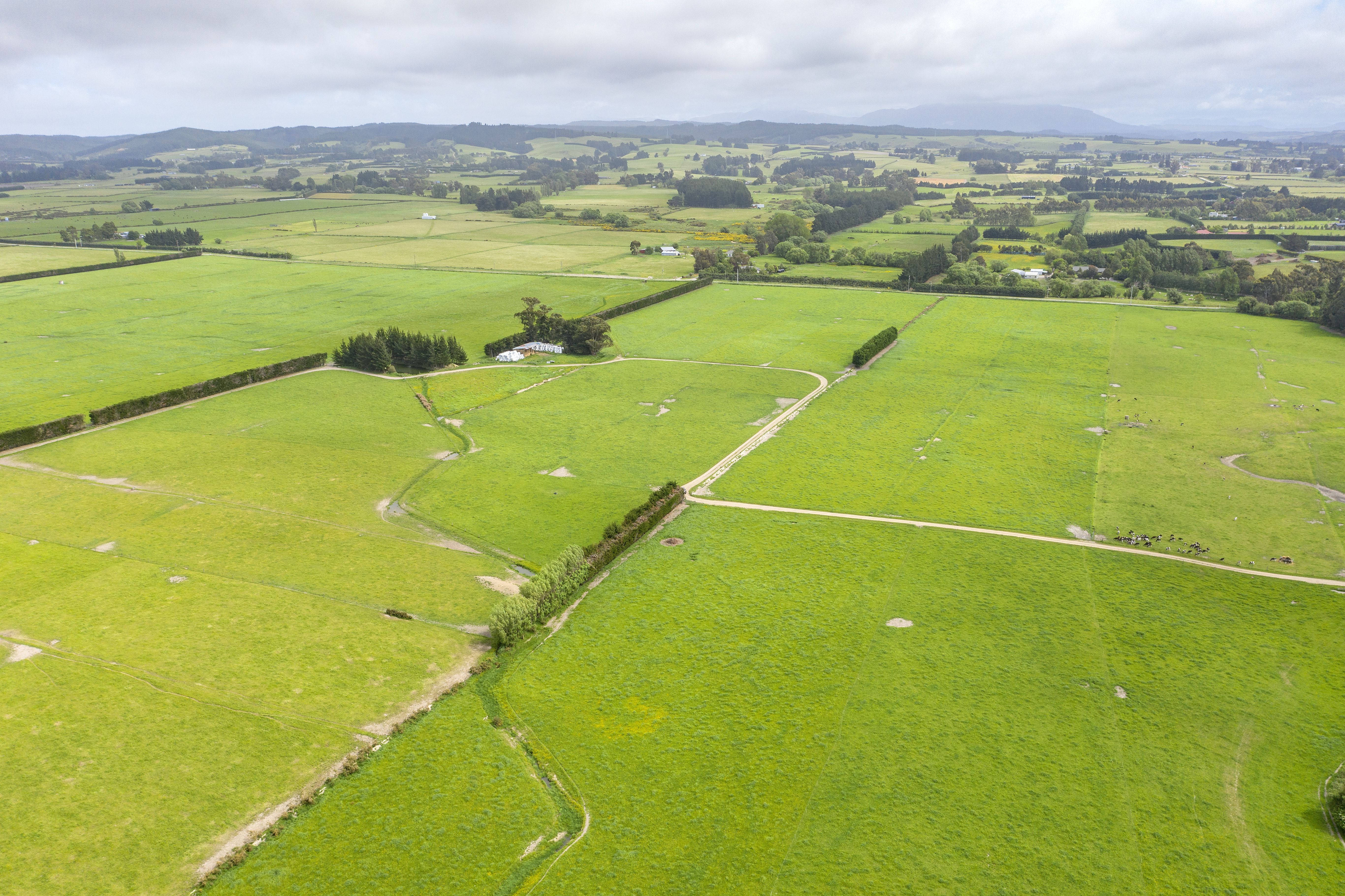 266 Rangiora Leithfield Road, Sefton, Waimakariri, 0 침실, 0 욕실, Bare Land