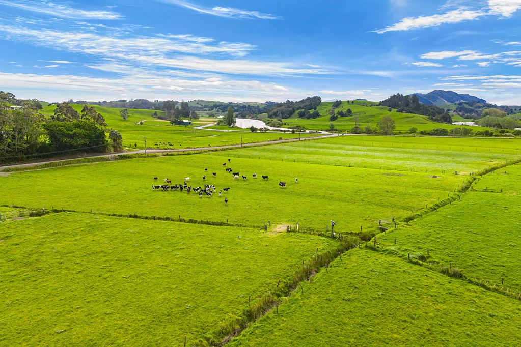 Tangiteroria  Versatile 32.62ha run-off block - Vendors retiring