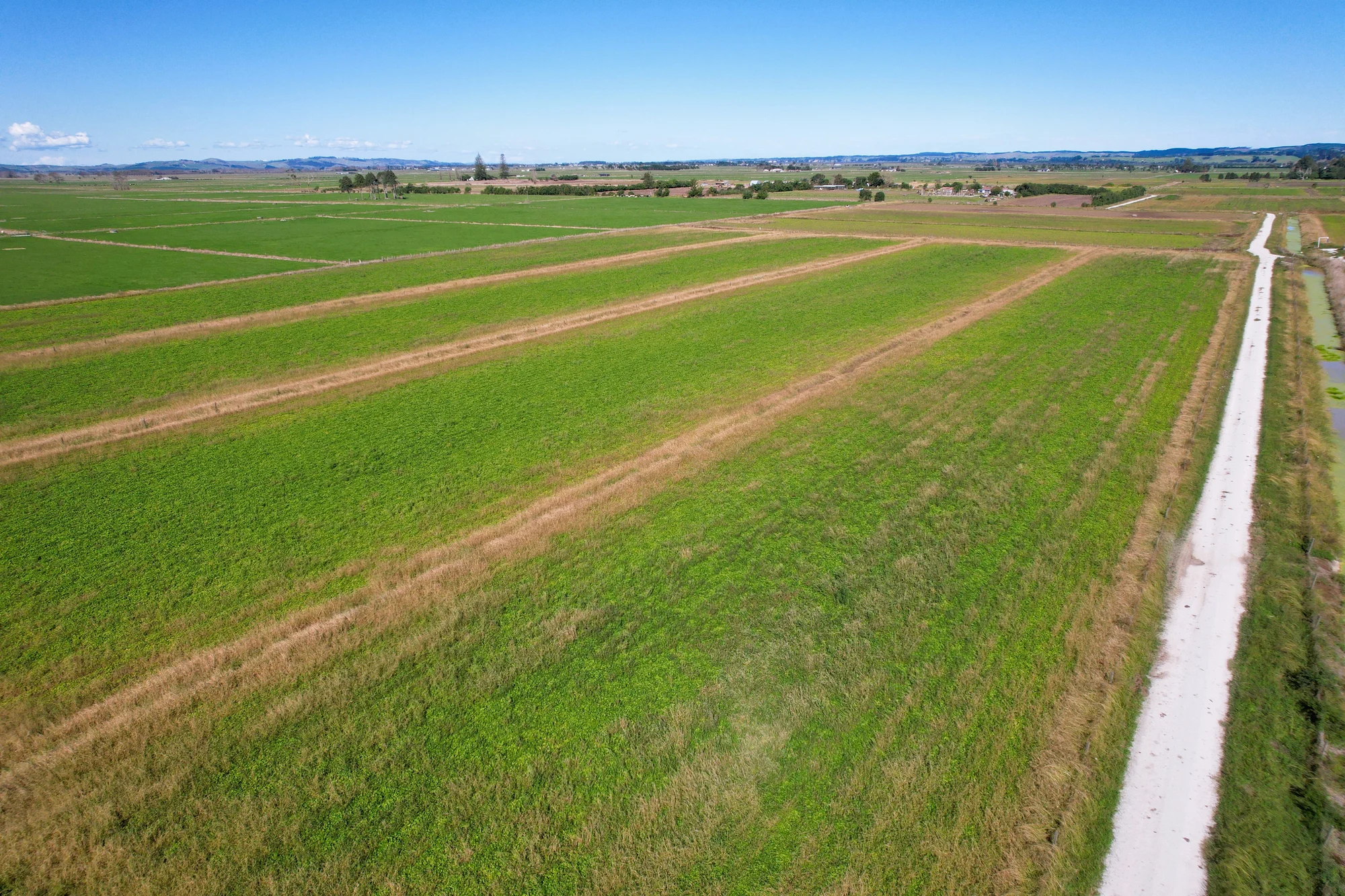 Tramline Road, Ruawai, Kaipara, Northland, 0 Bedrooms, 0 Bathrooms, Horticulture