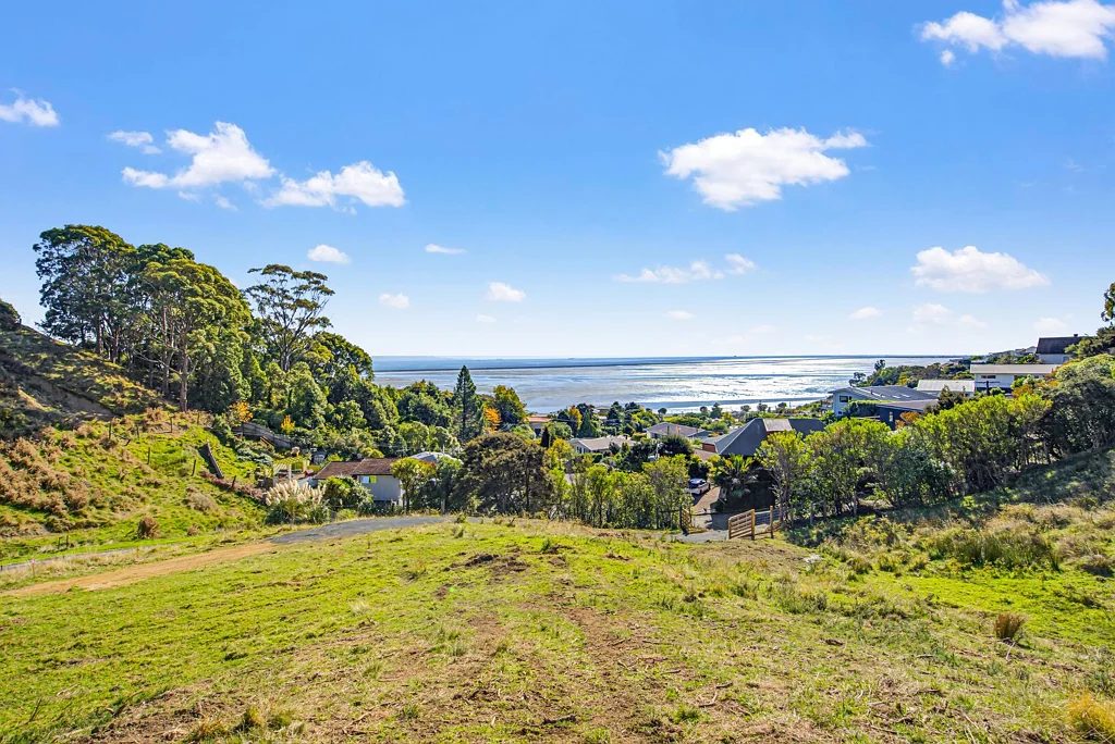 Atawhai DREAM BUILD SITE WITH PANORAMIC VIEWS