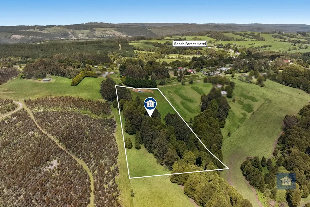 Beech Forest Create Your Dream Escape Among Nature…