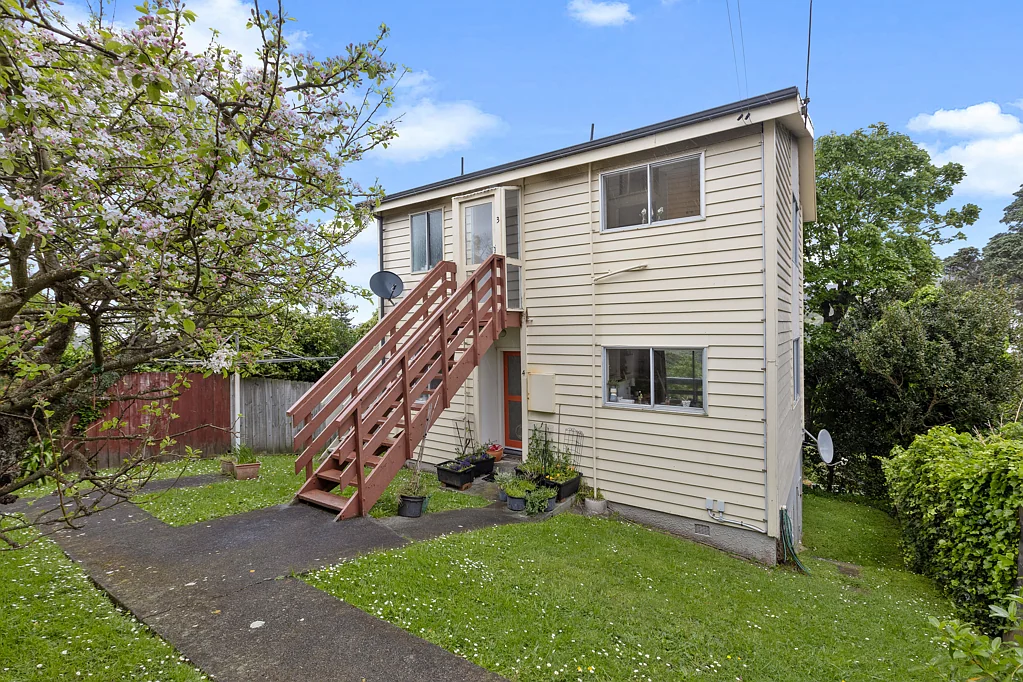 3/11 Konini Road, Hataitai, Wellington
