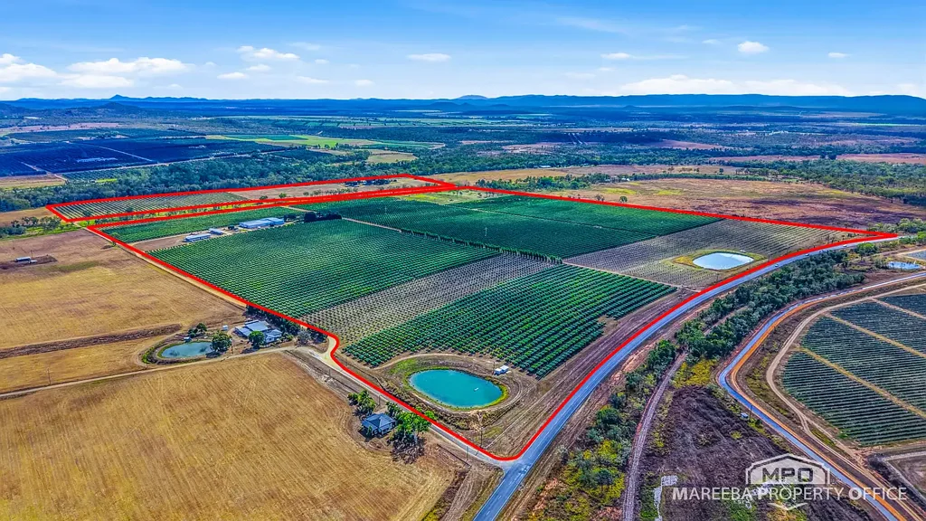 Dimbulah A Landmark Family Orchard with Outstanding Water Security & Modern Infrastructure