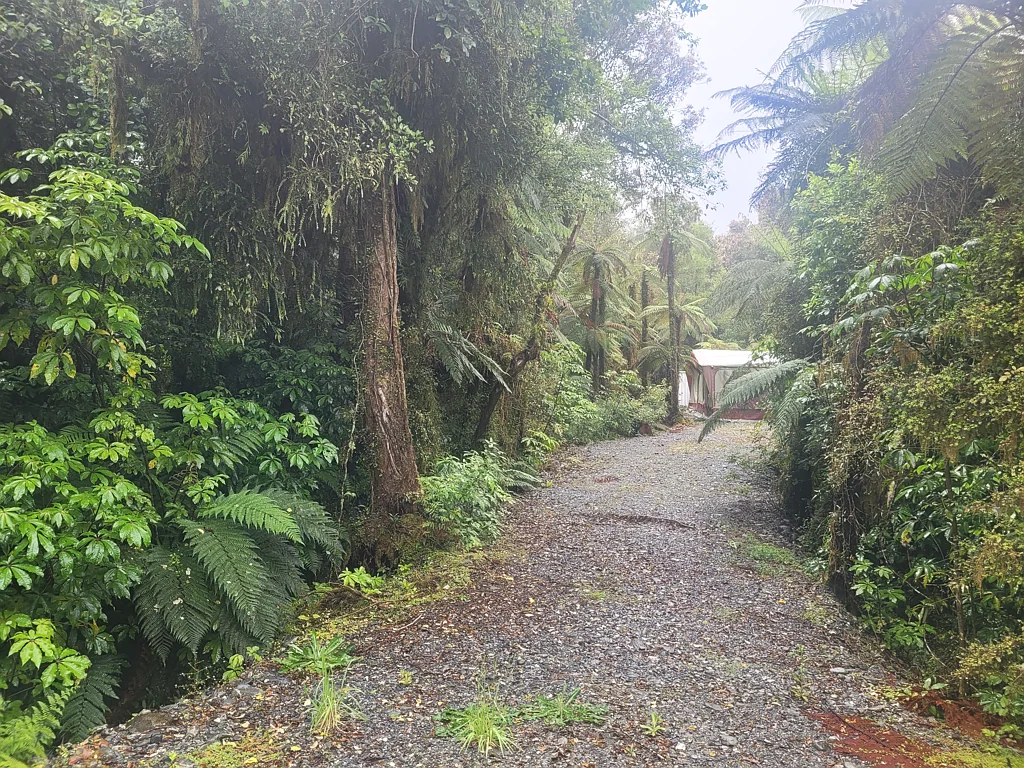 Franz Josef Glacier Native Bush Hideaway in Franz Josef