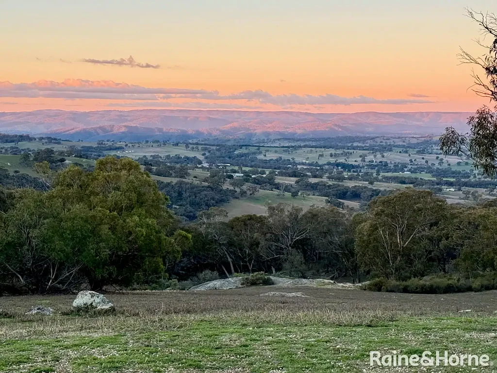 Mount Rankin "BINDARI" ELEVATED LIFESTYLE ON REMARKABLE MOUNTAINTOP ACRES