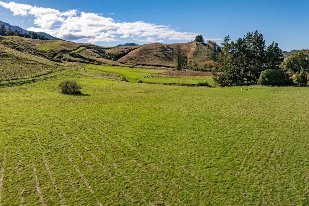 Ngatimoti Escape, build, and thrive; 30ha of stunning beauty