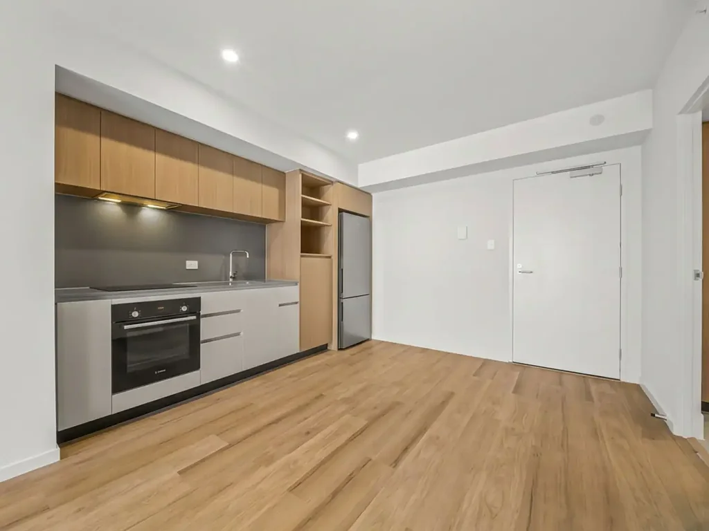 Brand new north facing one bedroom apartment For Rent