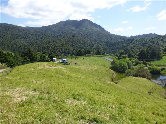 111a Dickey Flat Road, Waikino, Hauraki, 3房, 0浴