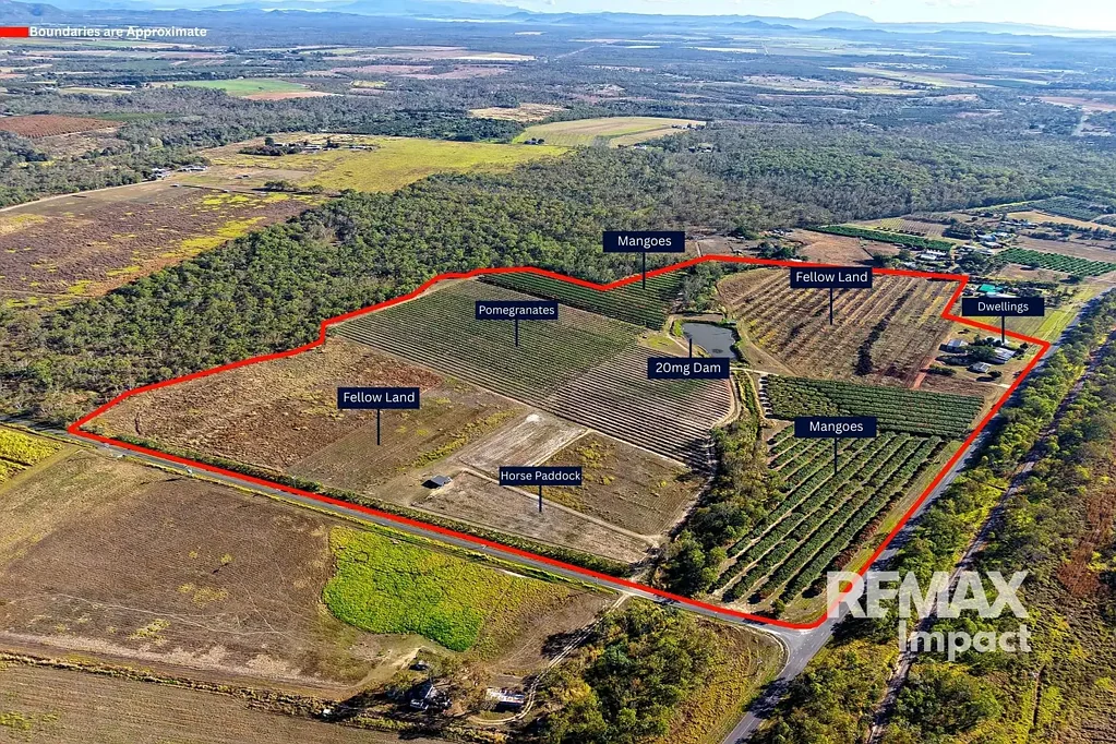 Mareeba  Productive 81 Acre Farm with Strong Income Potential