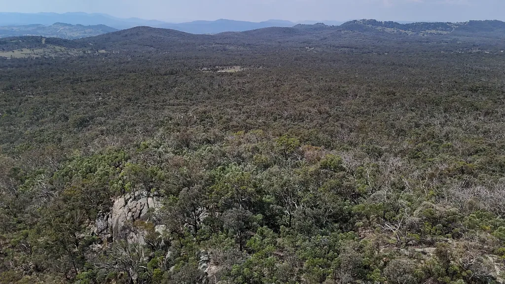 Lot 8 Binghi Road, Tenterfield, NSW 2372