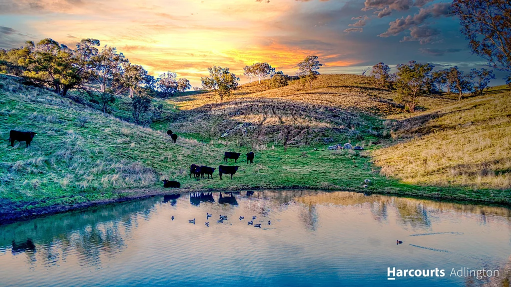 Rylstone  Rylstone Blue Ribbon Lifestyle & Grazing Property