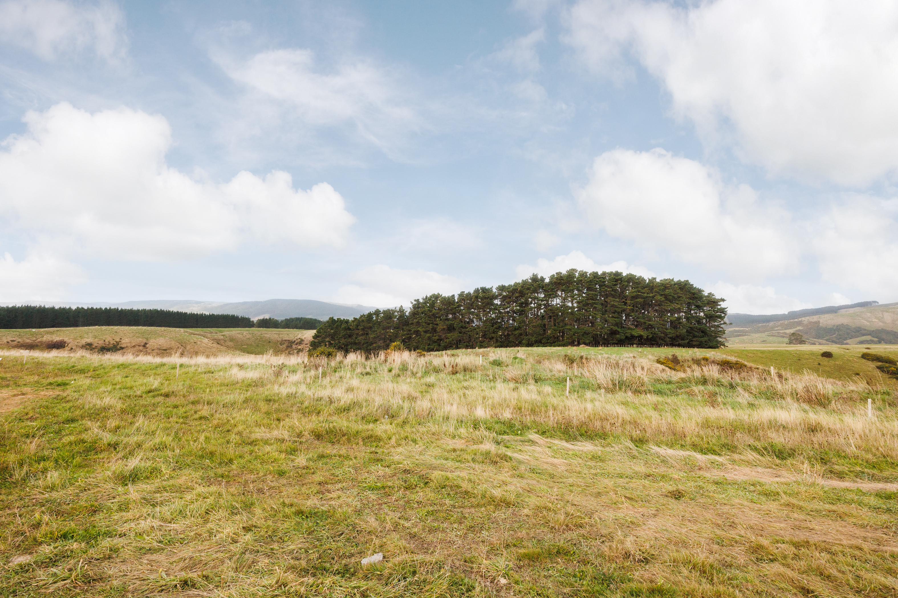 54 Atlantic Drive, Fitzherbert, Palmerston North, 0 habitaciones, 0 baños, Section