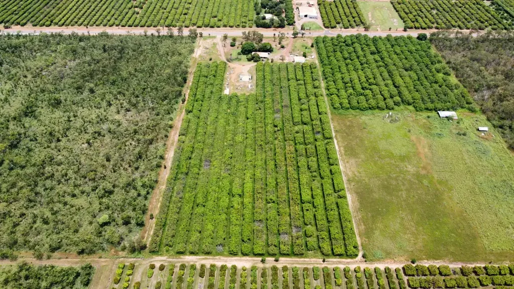 Berry Springs 3Zimmer Endless Possibilities in Berry Springs � Lifestyle, Business, or Both!