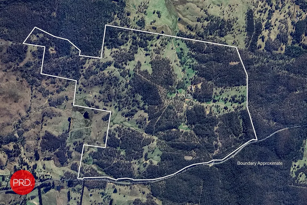 Bungendore "Kia Ora"