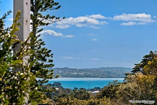 172 Carrington Road, Mt Albert, Mount Albert, Auckland City