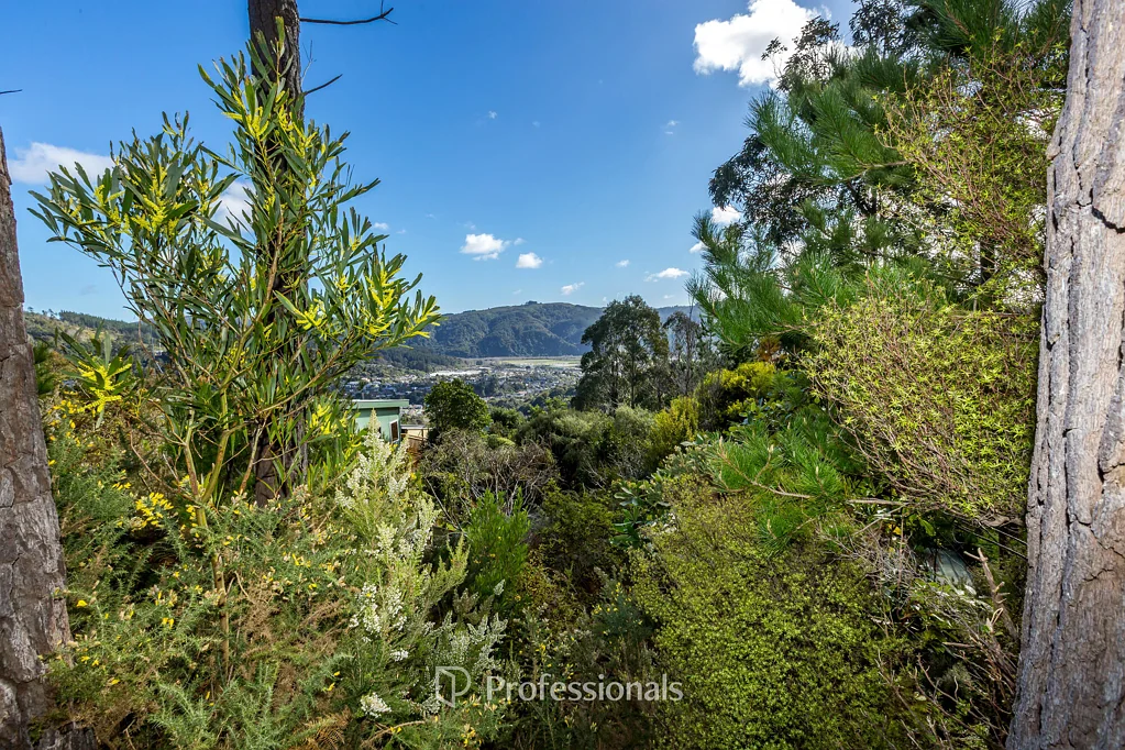 Blue Mountains A Blank Canvas of Possibility