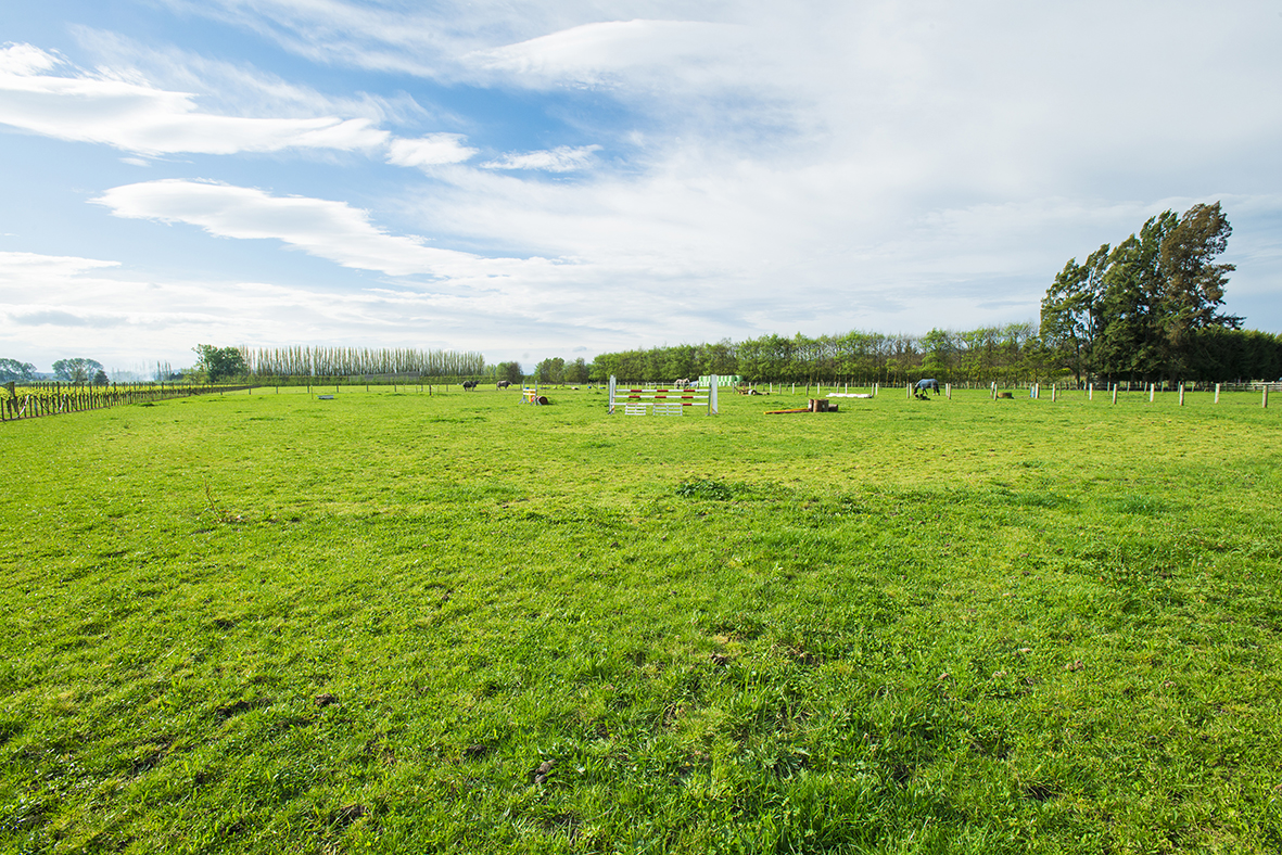 171 Main Road, Matawhero, Gisborne, 3 habitaciones, 0 baños