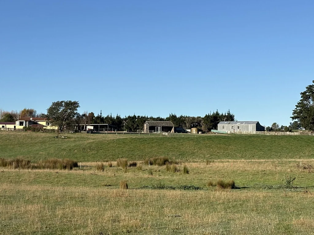 Hampden Moeraki Downs