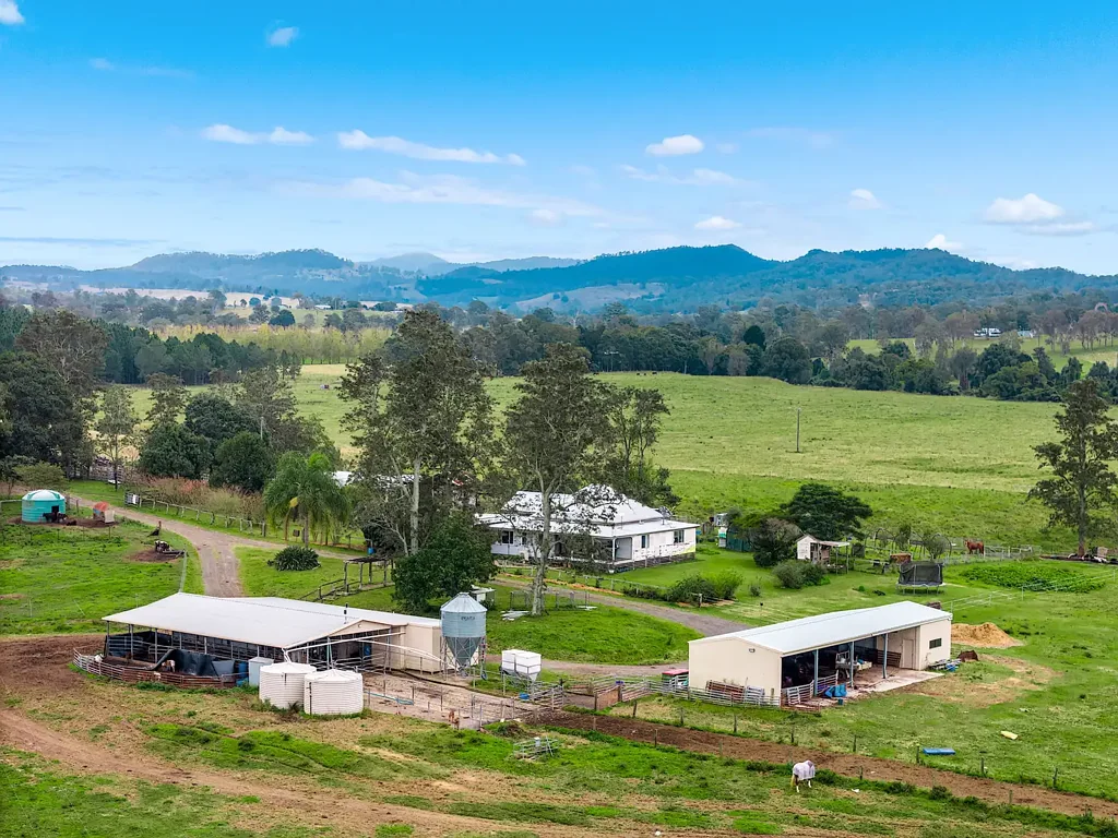 Doubtful Creek  One of the Northern Rivers' Finest Cattle Enterprises