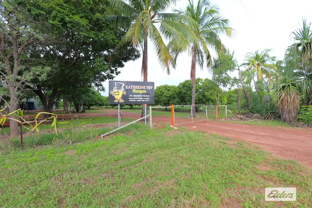 Katherine  KATHERINE TOP MANGOES - FAMILY FARM on the outskirt of Katherine