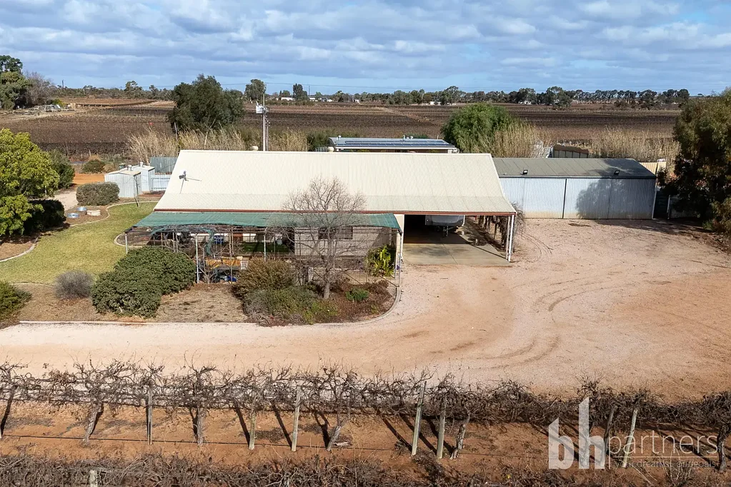 Barmera  Vineyard Lifestyle Awaits - Calling All Hobby Farmers, Lifestyle Buyers, and Investors